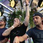 l&#8217;histoire de Tomorrowland et le son L-acoustics la combinaison parfaite Pont-à-Mousson 21